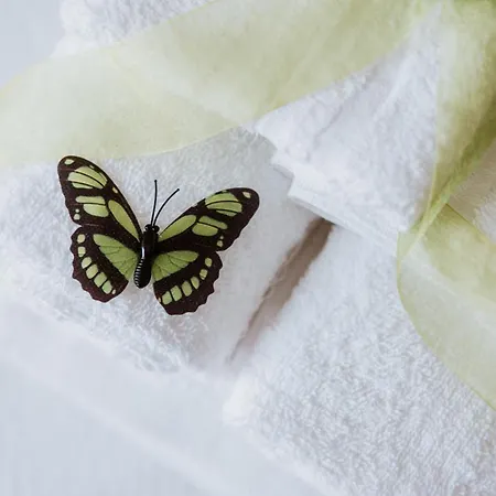 Biancomora Crispiano